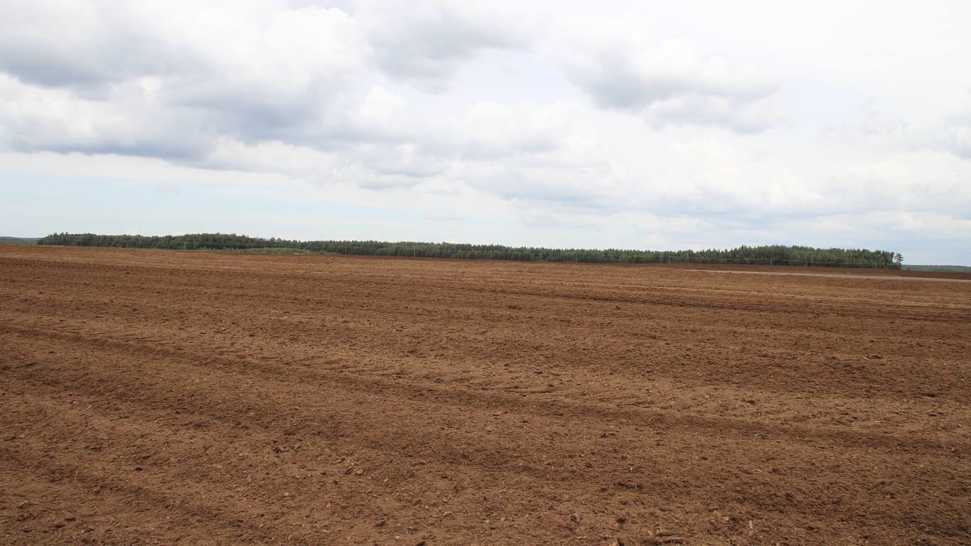 General_bog_2012_Am_02
