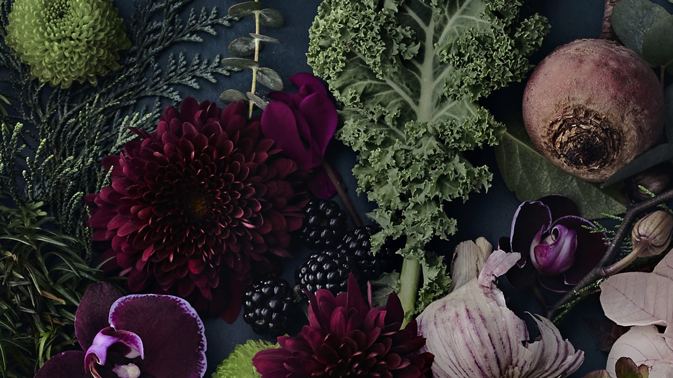 Grow21_closeups2_13