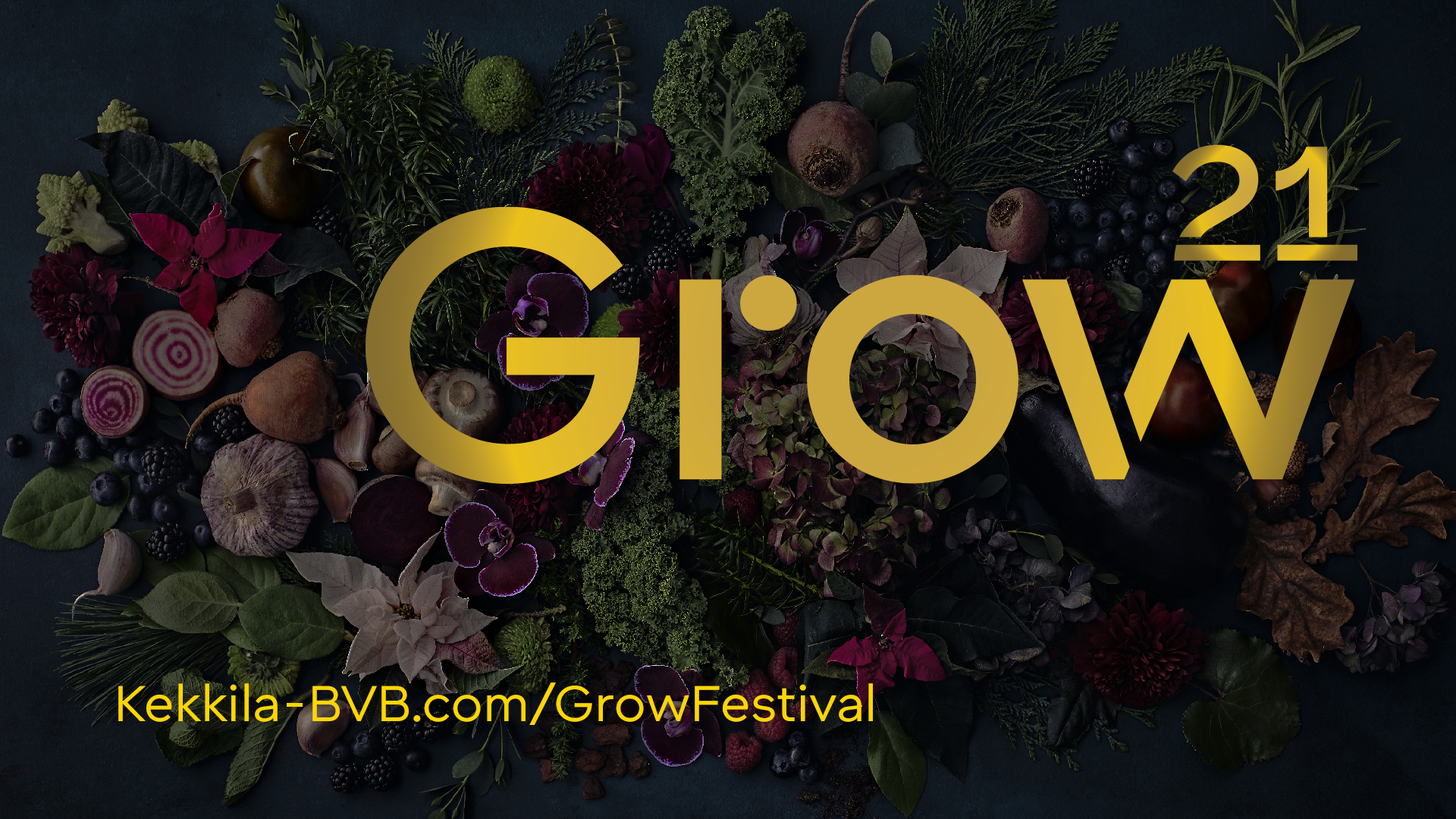 GROW_CICION_1920x1080_280dpi