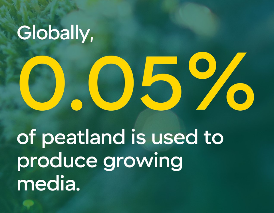Globally 0.5%.jpg