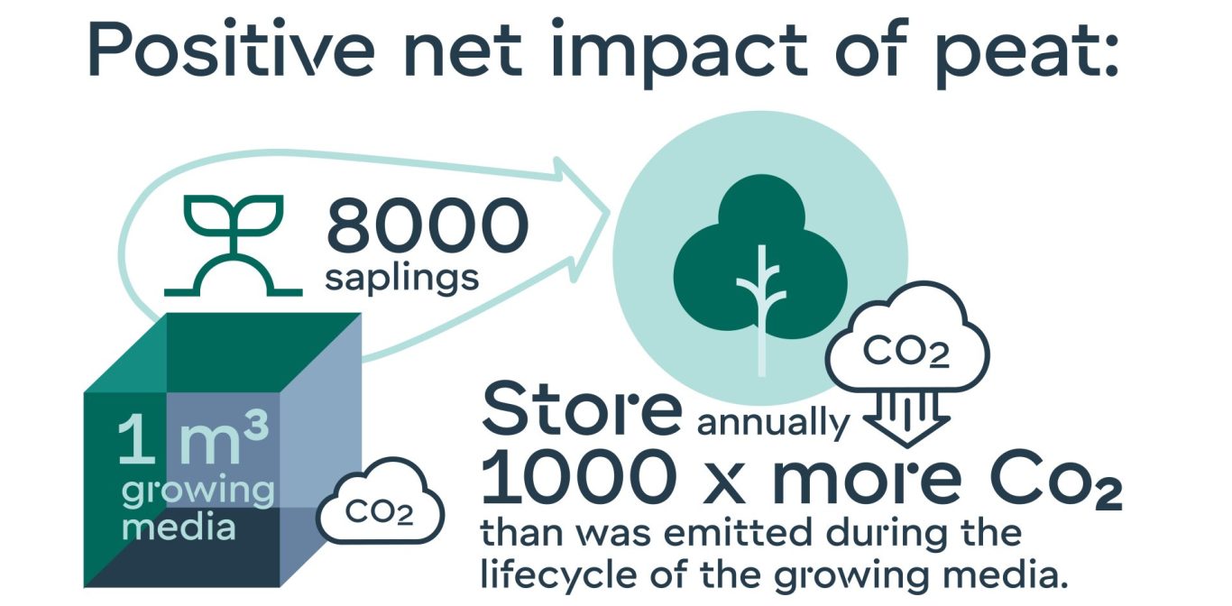 8000saplings_web-1-1920x945