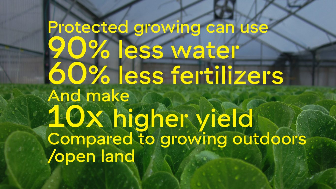 web_image_protecterd_growing