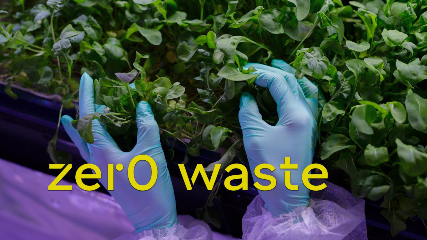 web_images_zerowaste