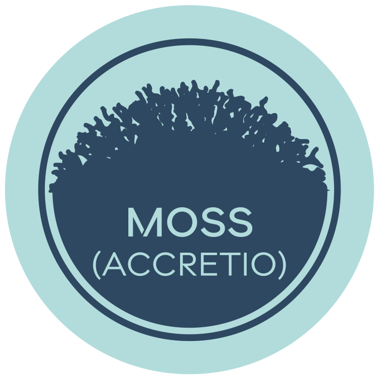 Moss (accretio)