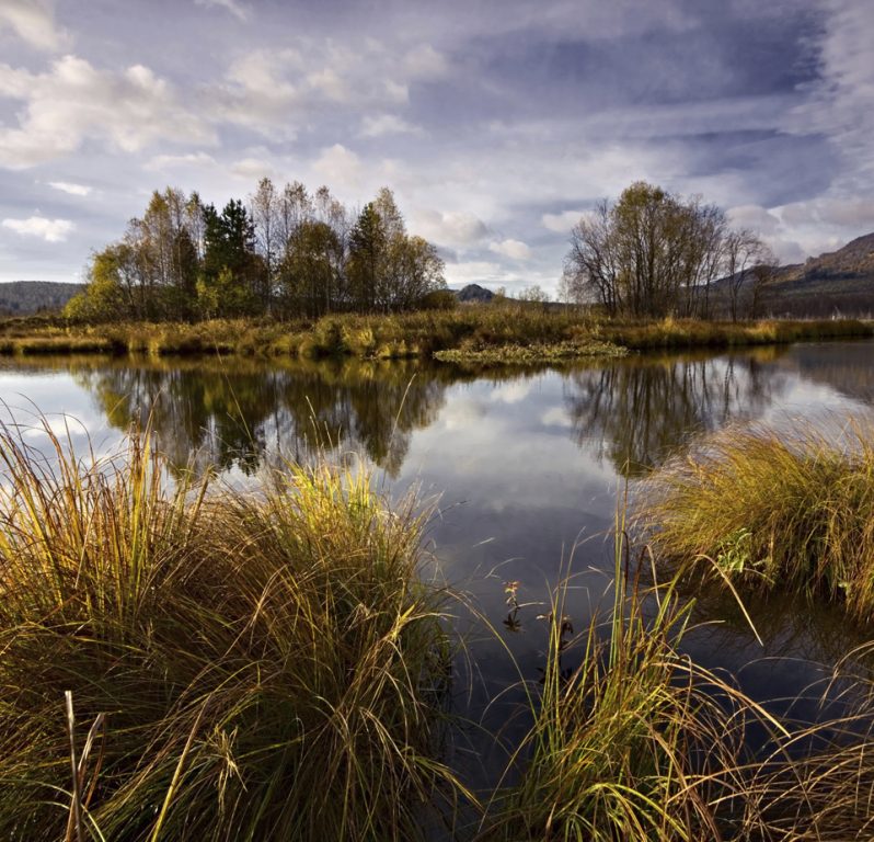 peatland