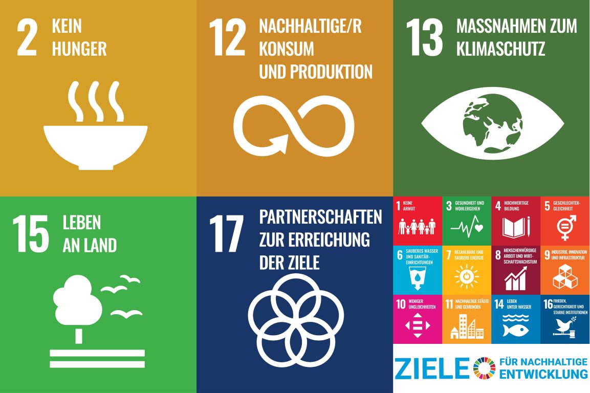 sustainability_sdgs_de