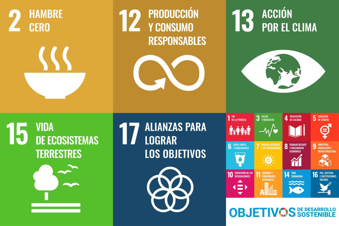 sustainability_sdgs_es