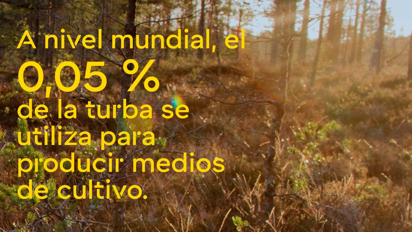 web_image_moss_es