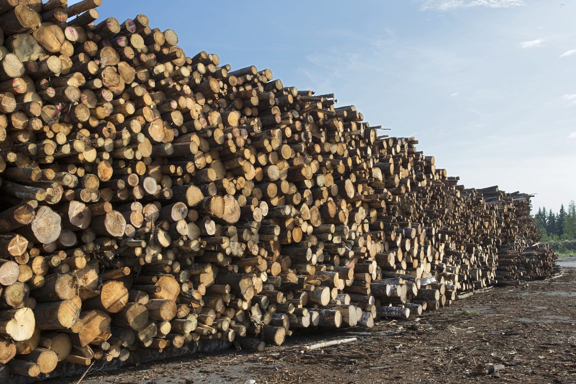 A pile of chopped wood outside, as is used to create wood fiber from for the soil