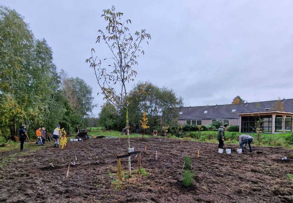Compost for food forest in Oudega (NL) - Kekkilä-BVB